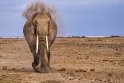 116 Amboseli Nationaal Park